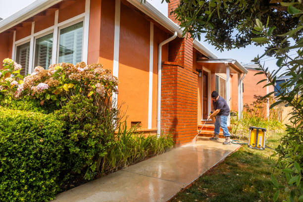 Best Affordable Power Washing  in South Padre Island, TX