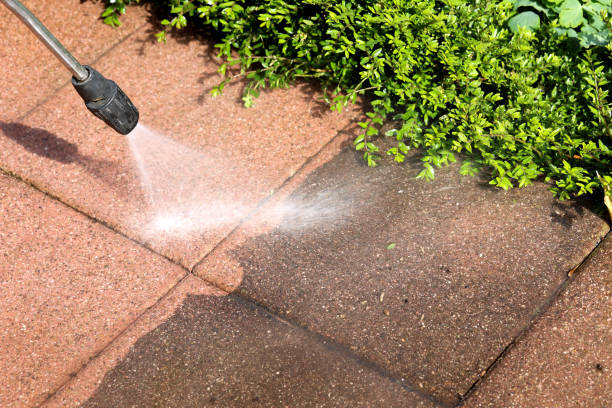 Best Fence Pressure Washing  in South Padre Island, TX